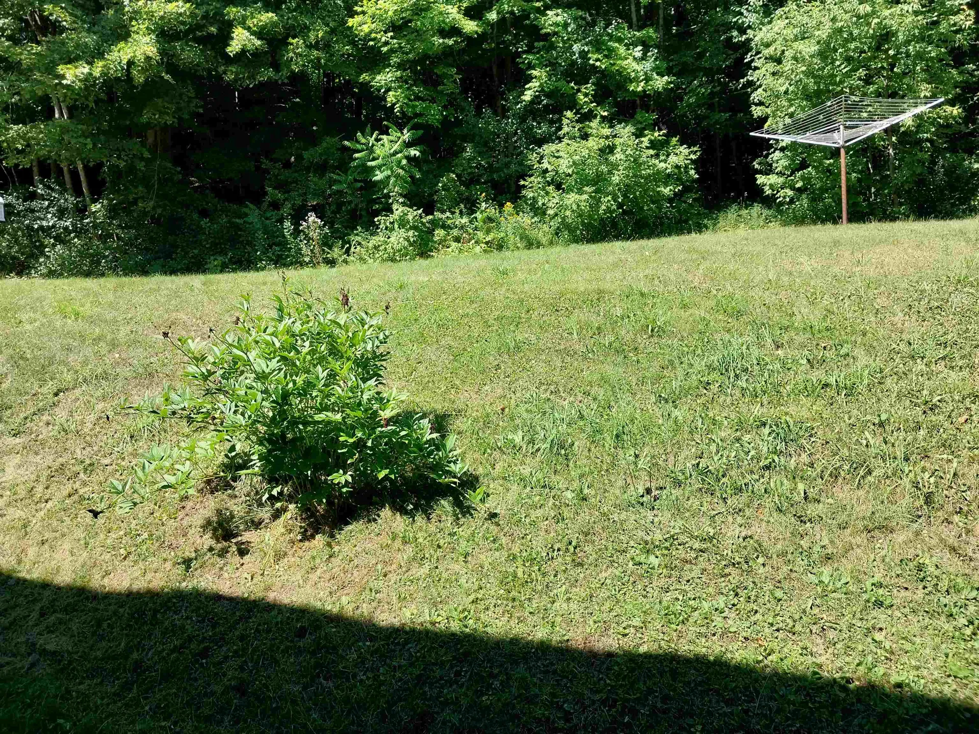 124 Deer Avenue St. Johnsbury VT 05819
