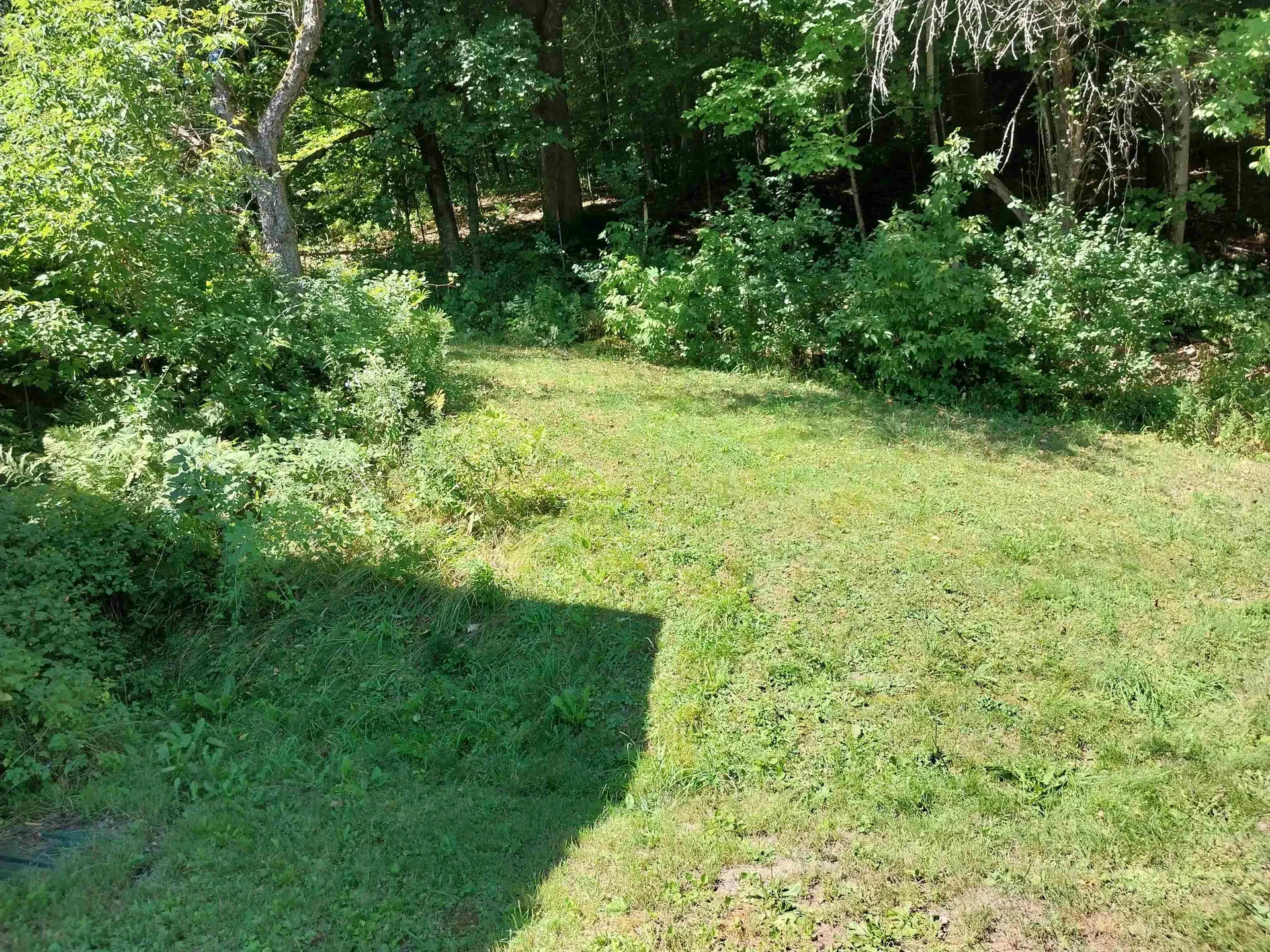 124 Deer Avenue St. Johnsbury VT 05819