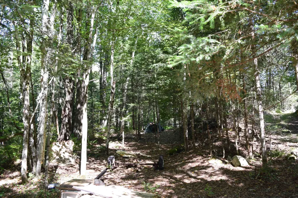 154 Moose Trail Road Bethlehem NH 03574