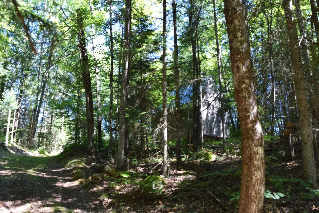 154 Moose Trail Road Bethlehem NH 03574