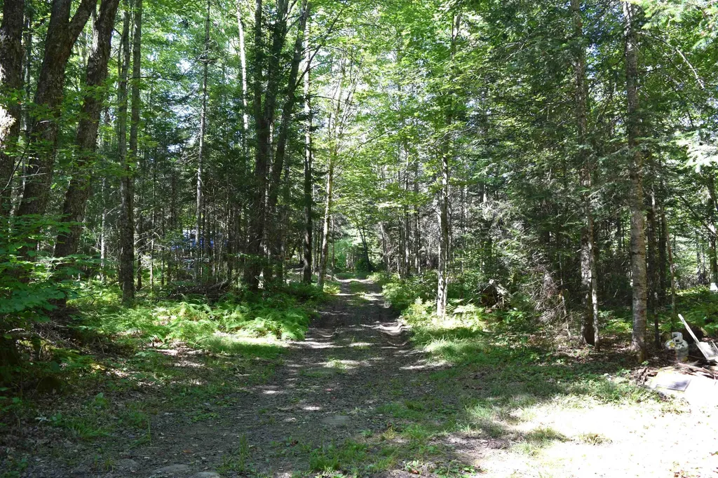 154 Moose Trail Road Bethlehem NH 03574