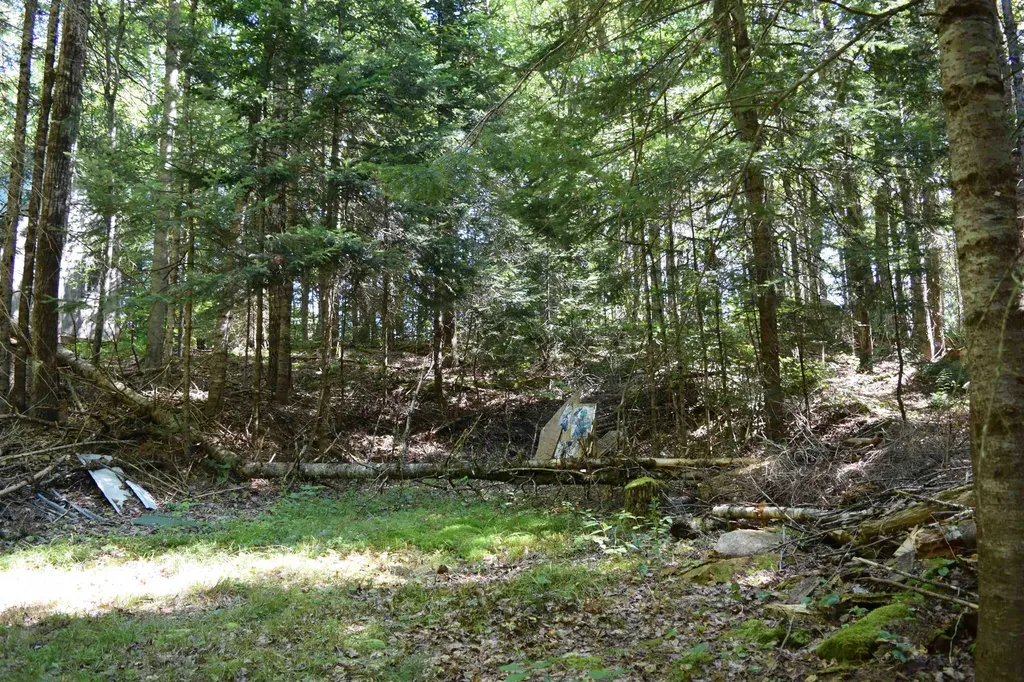 154 Moose Trail Road Bethlehem NH 03574