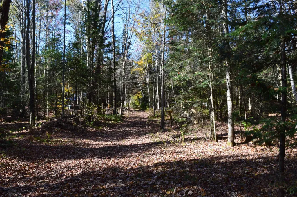 154 Moose Trail Road Bethlehem NH 03574