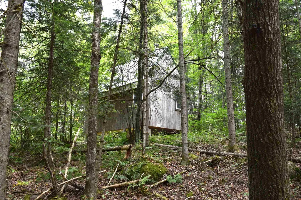 154 Moose Trail Road Bethlehem NH 03574