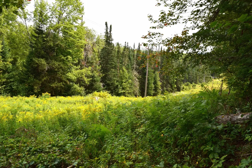 154 Moose Trail Road Bethlehem NH 03574