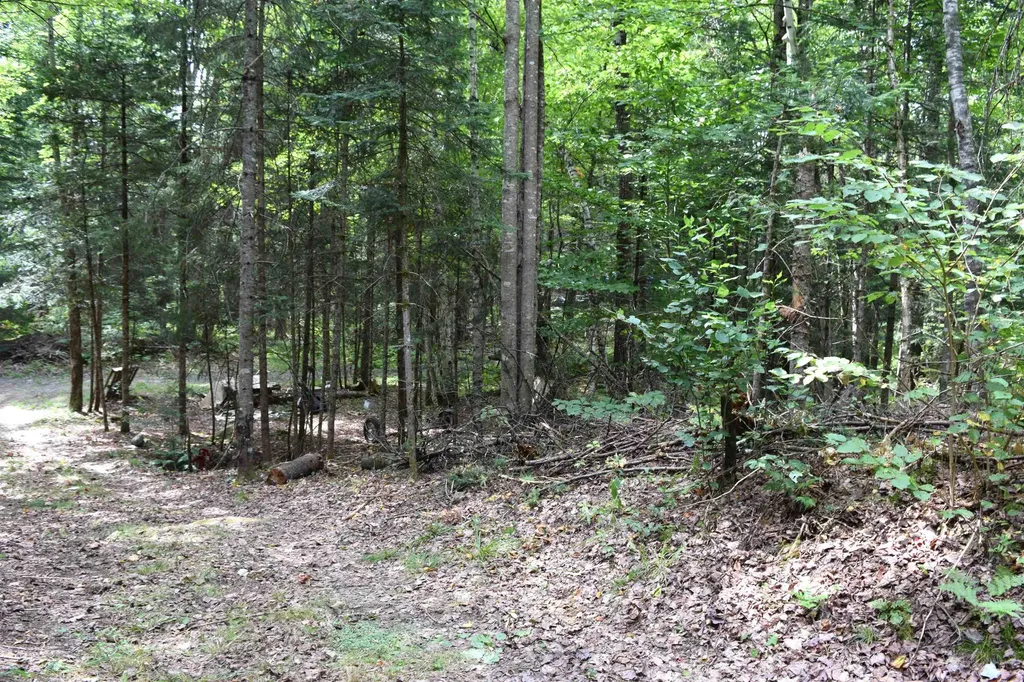 154 Moose Trail Road Bethlehem NH 03574