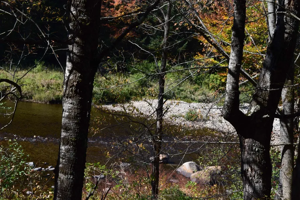 154 Moose Trail Road Bethlehem NH 03574