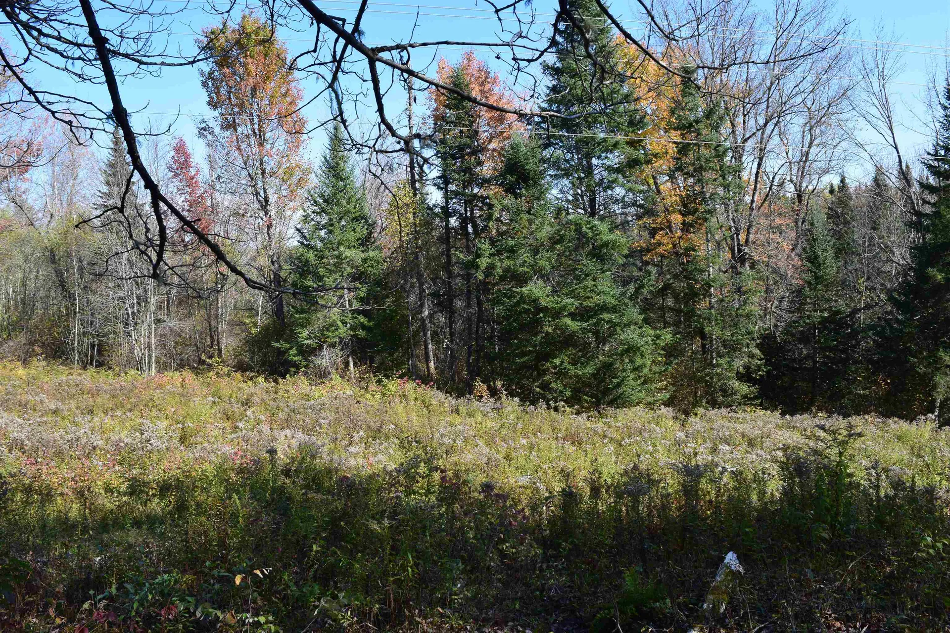 154 Moose Trail Road Bethlehem NH 03574