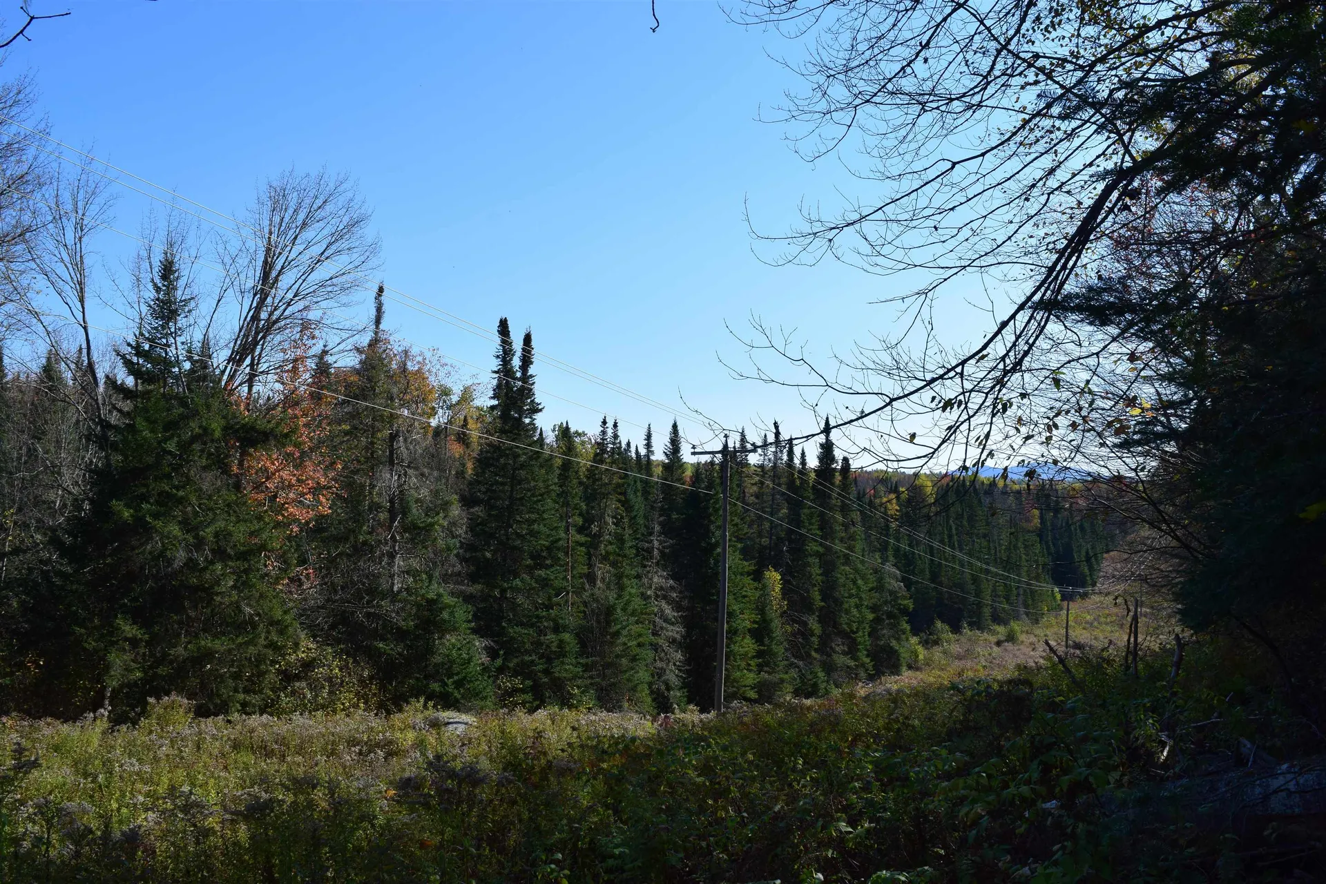 154 Moose Trail Road Bethlehem NH 03574