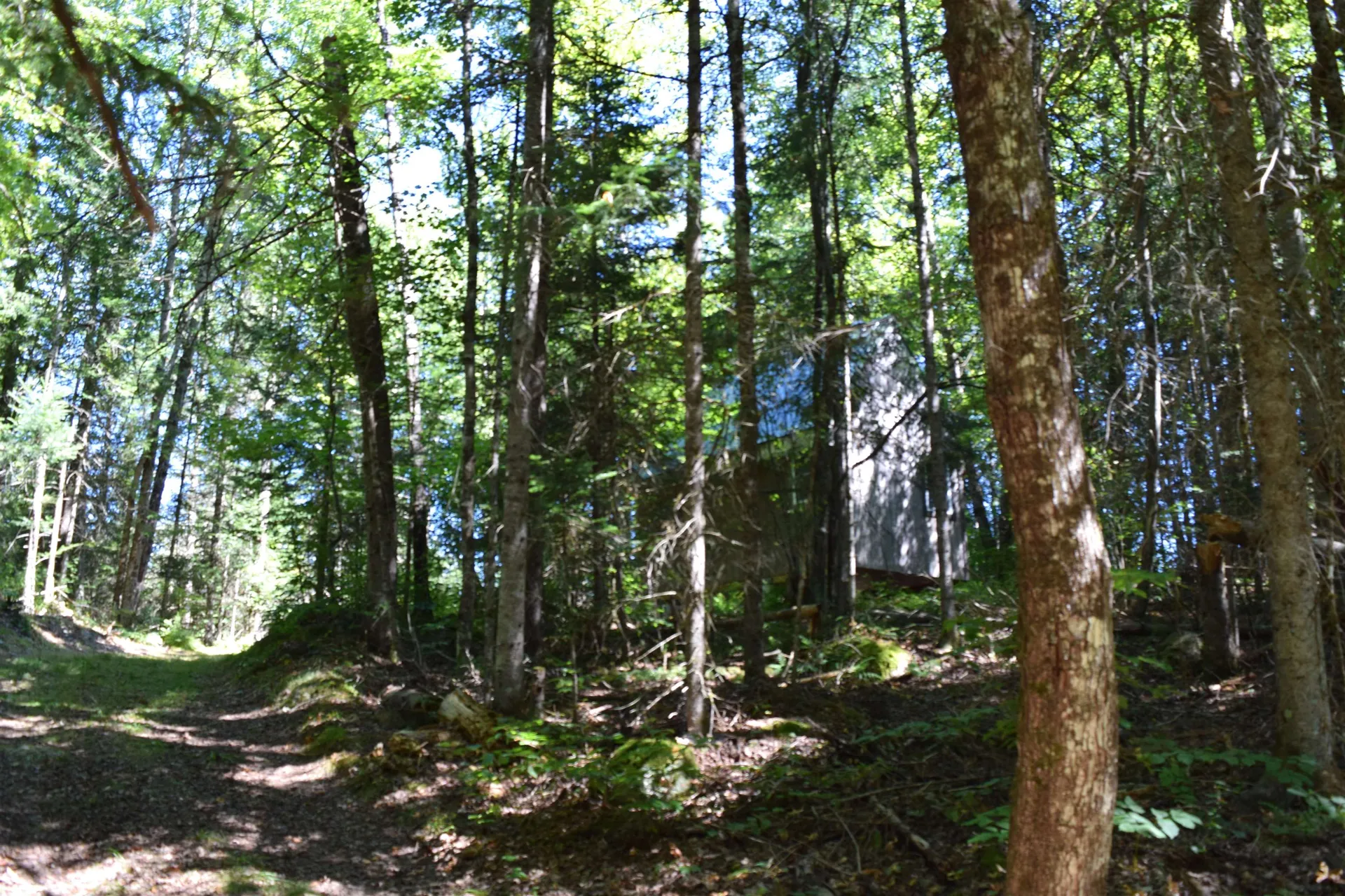 154 Moose Trail Road Bethlehem NH 03574