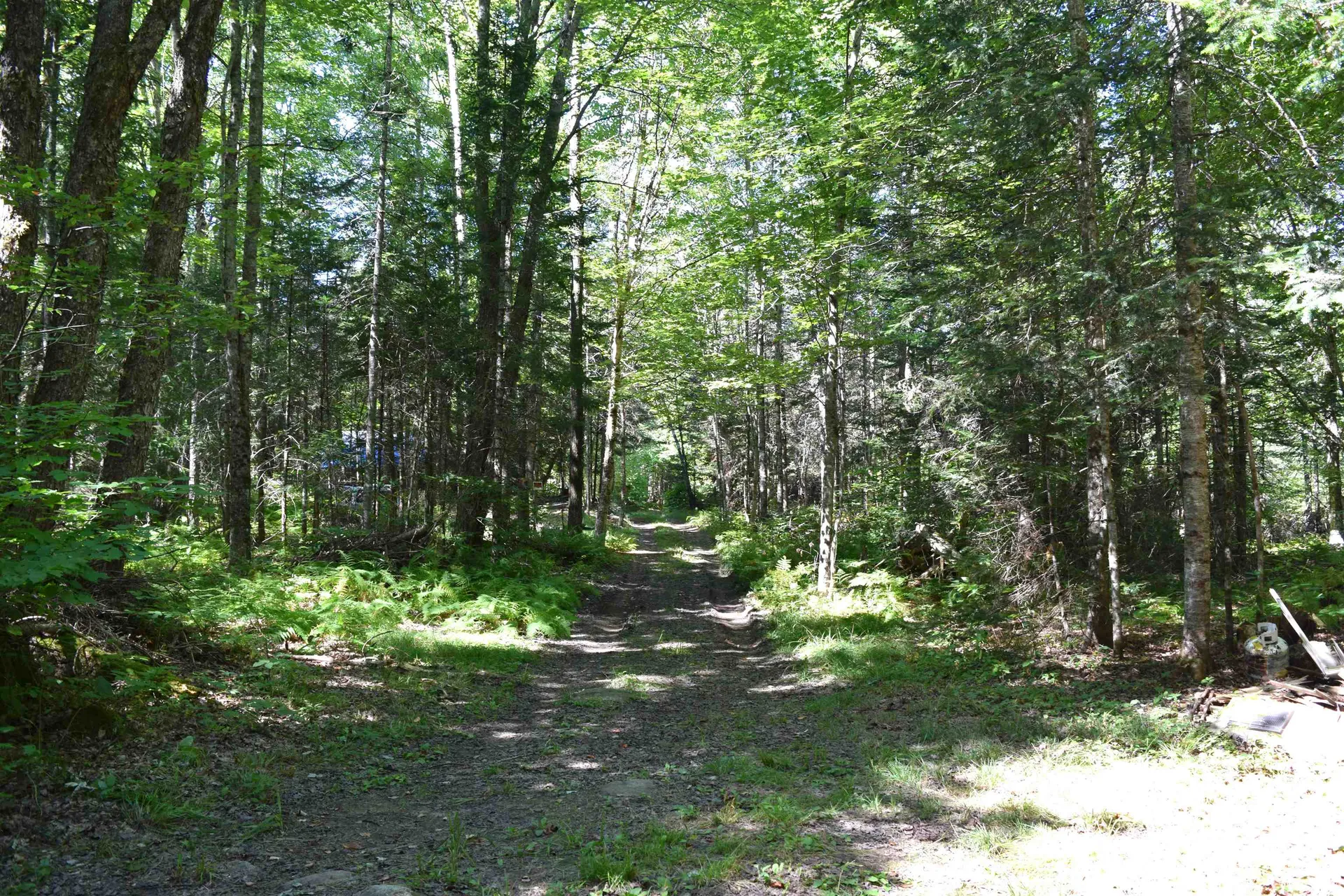 154 Moose Trail Road Bethlehem NH 03574