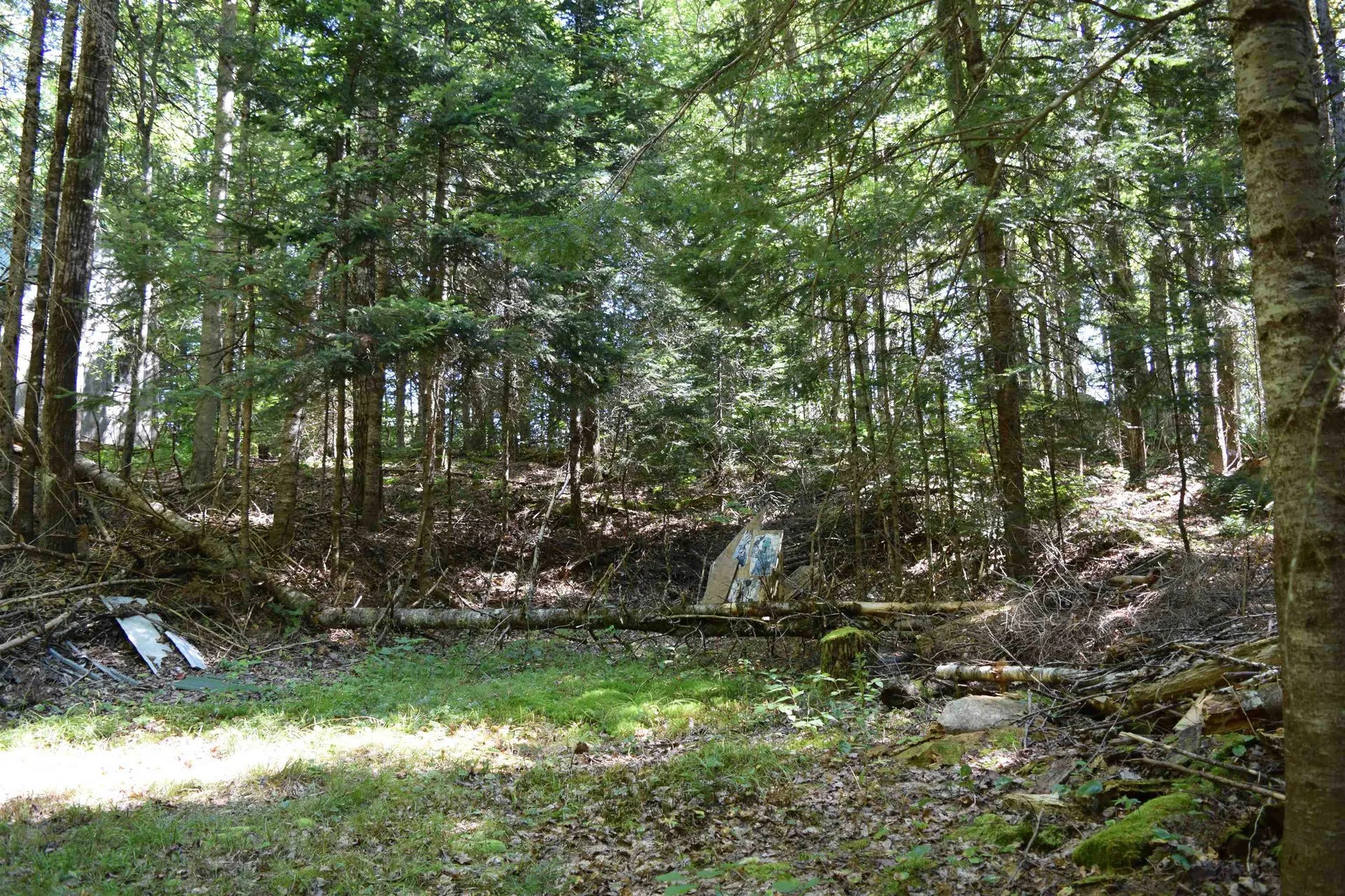 154 Moose Trail Road Bethlehem NH 03574