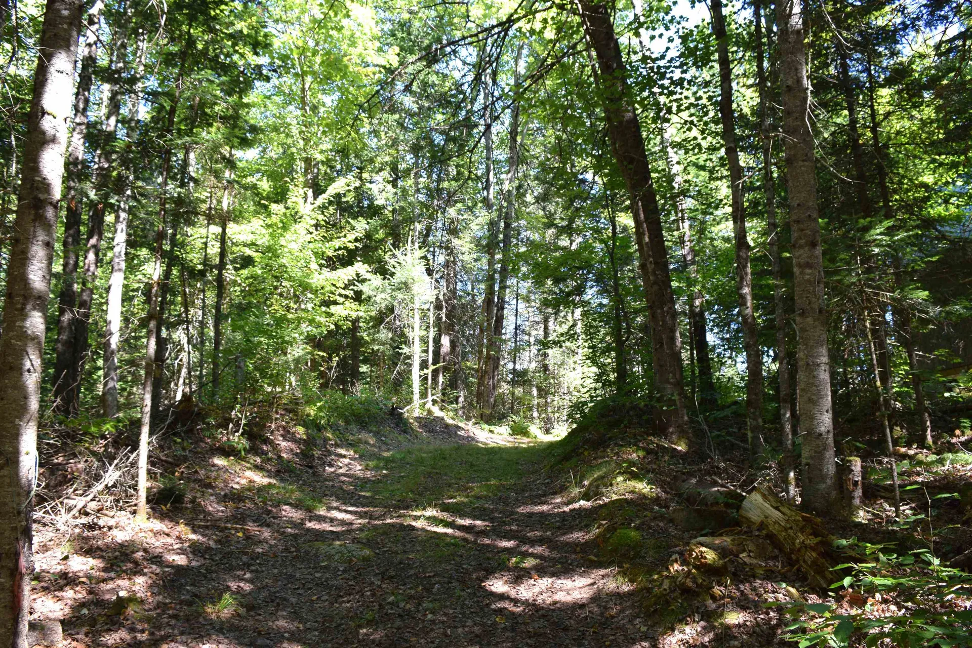 154 Moose Trail Road Bethlehem NH 03574