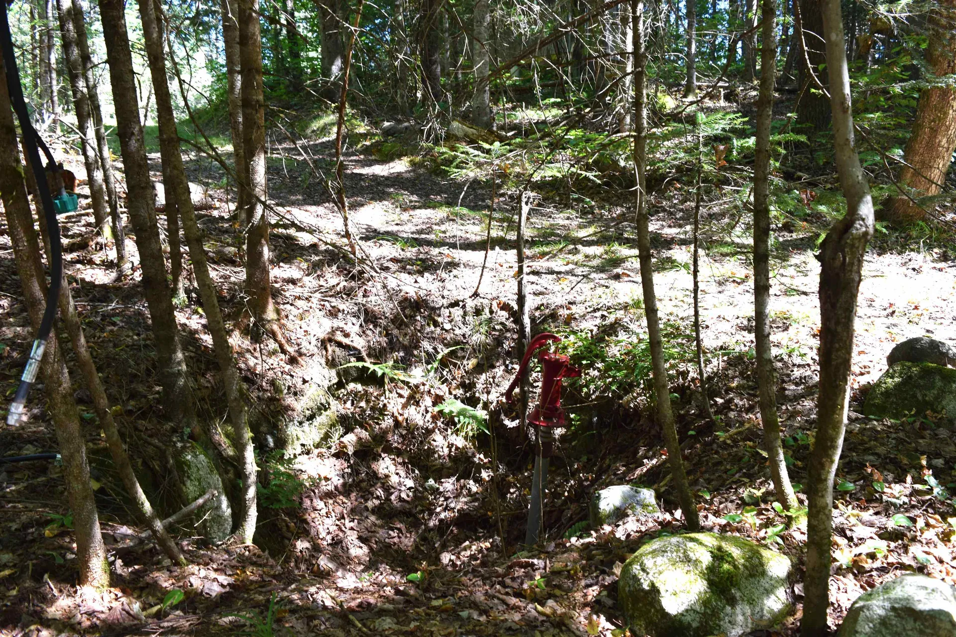 154 Moose Trail Road Bethlehem NH 03574