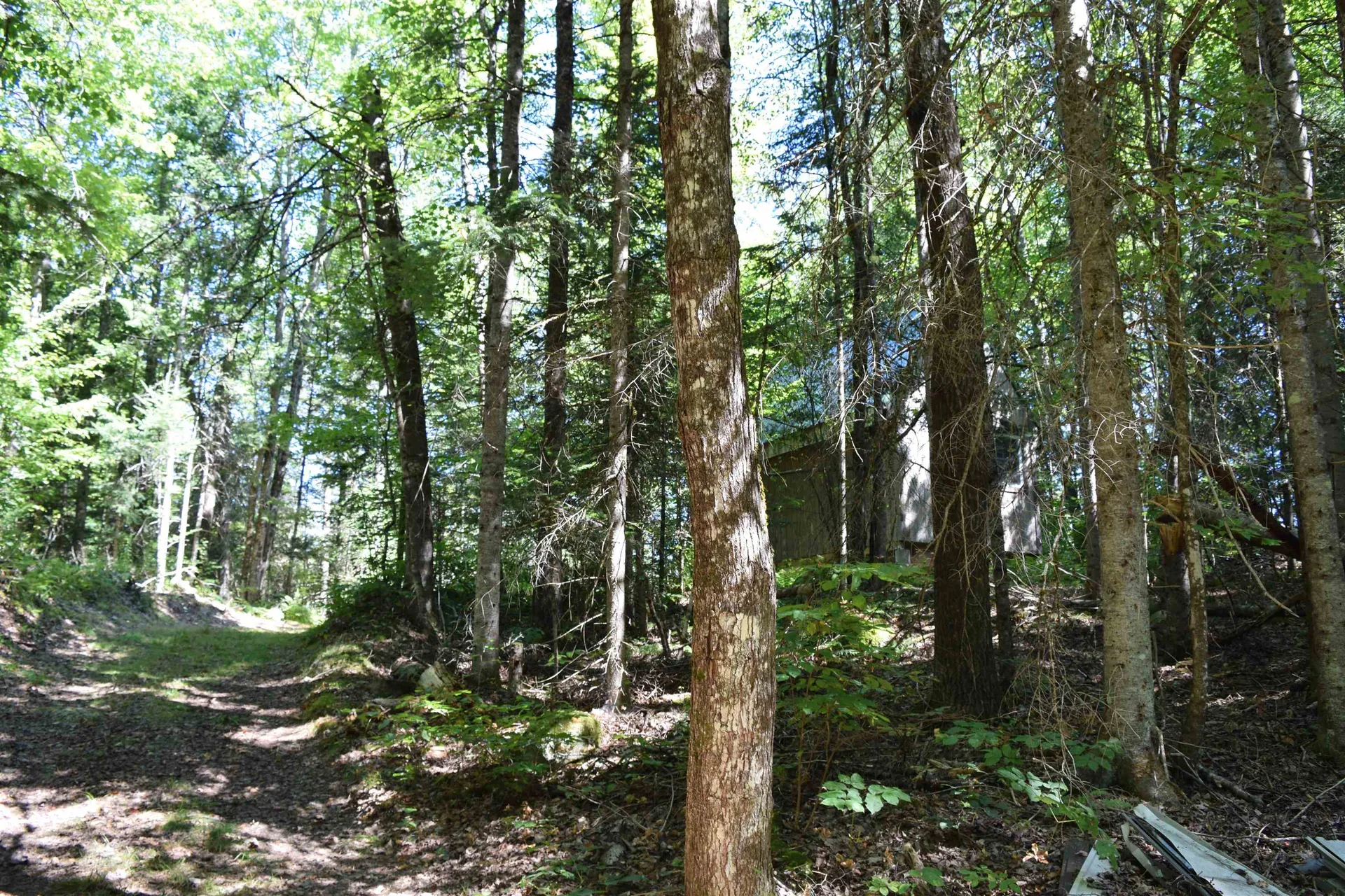 154 Moose Trail Road Bethlehem NH 03574