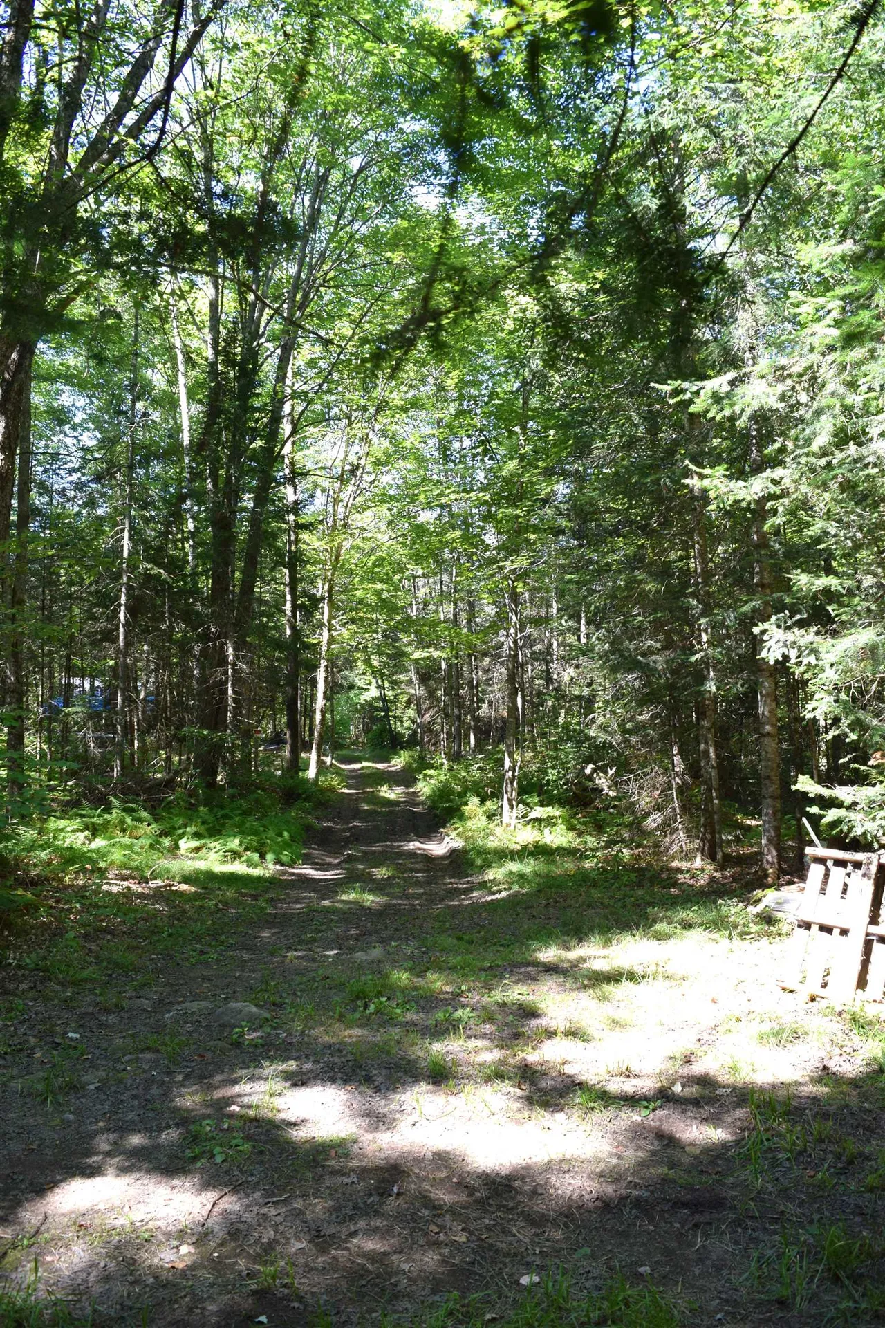 154 Moose Trail Road Bethlehem NH 03574