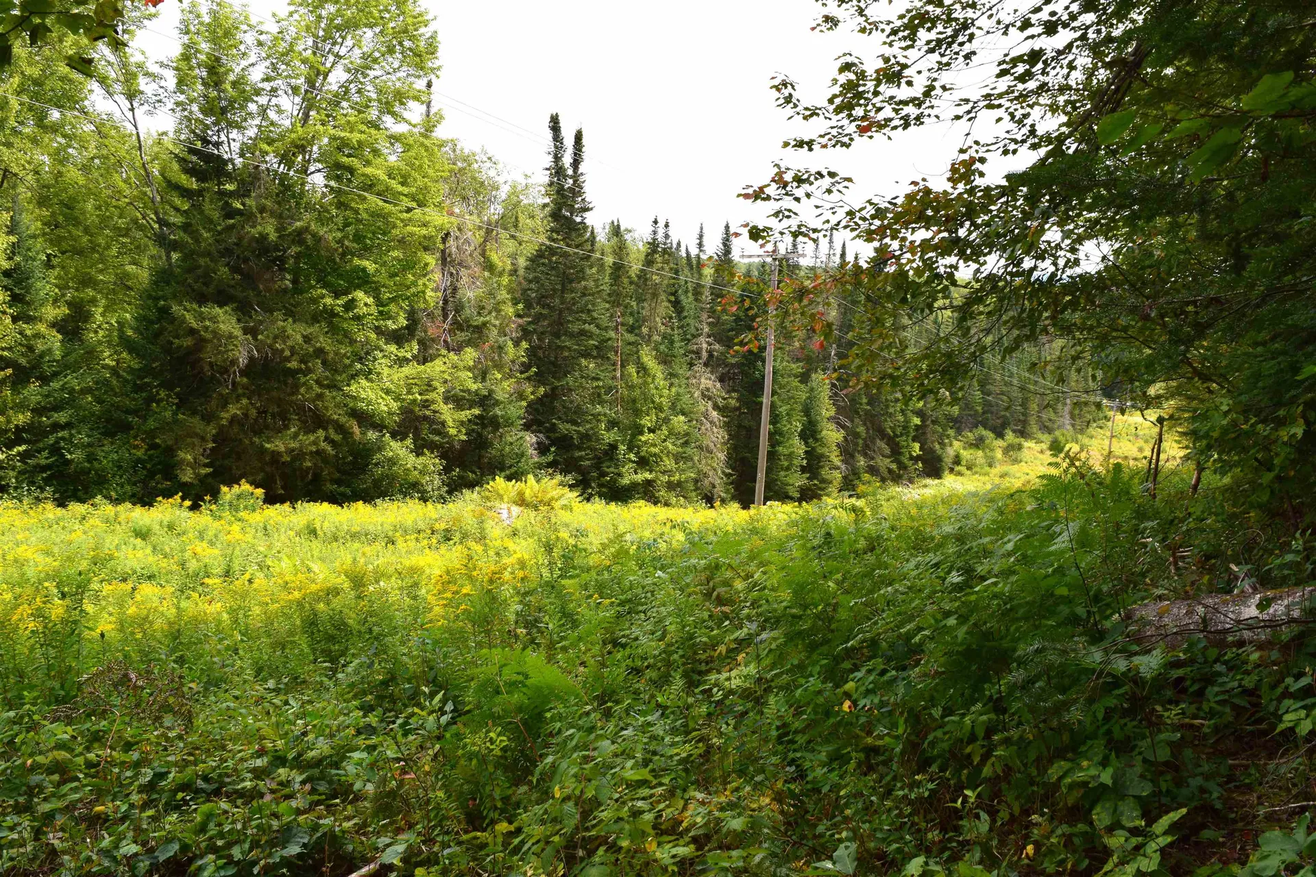 154 Moose Trail Road Bethlehem NH 03574