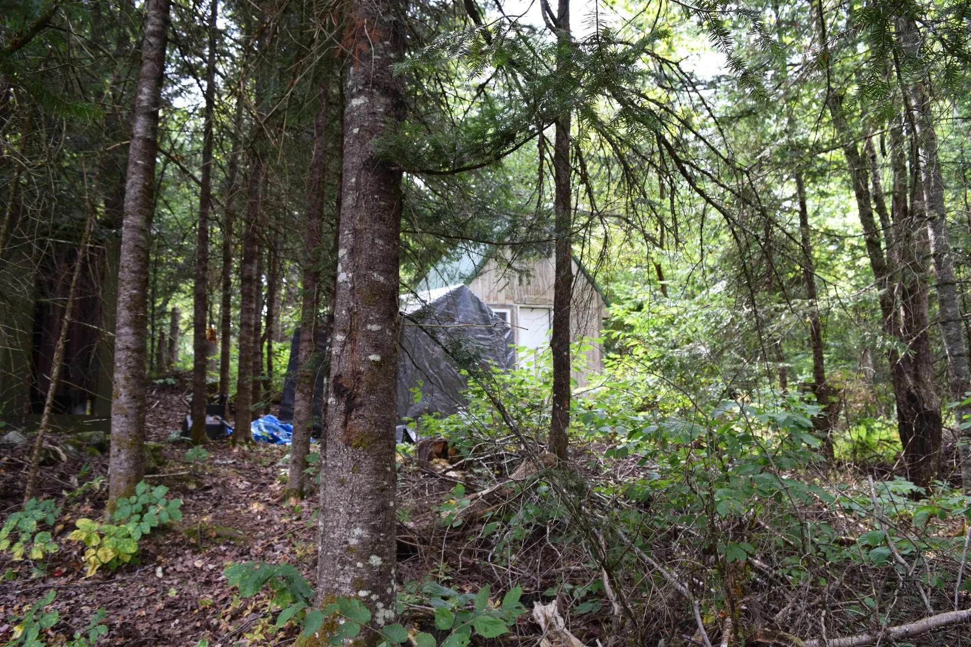 154 Moose Trail Road Bethlehem NH 03574