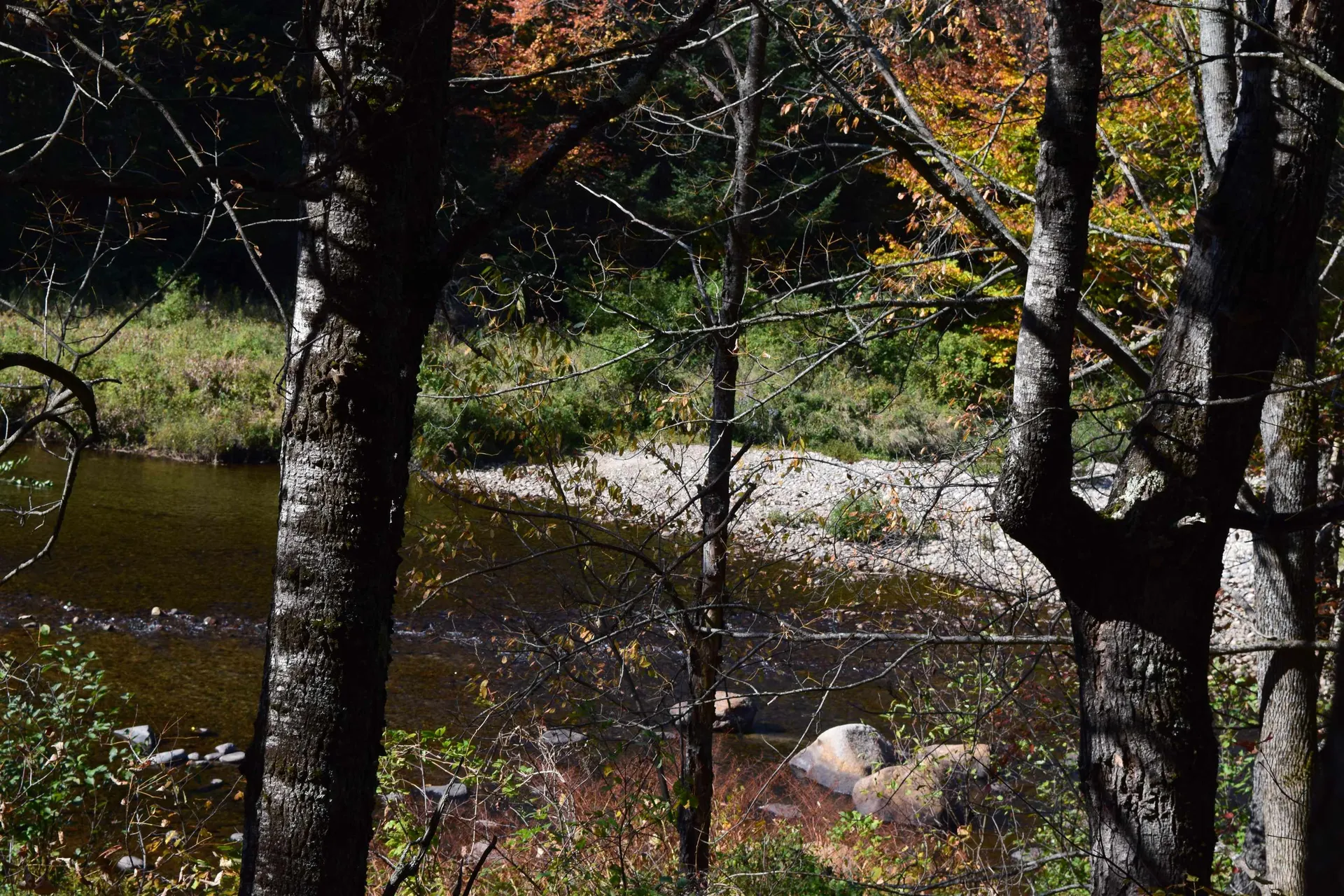 154 Moose Trail Road Bethlehem NH 03574