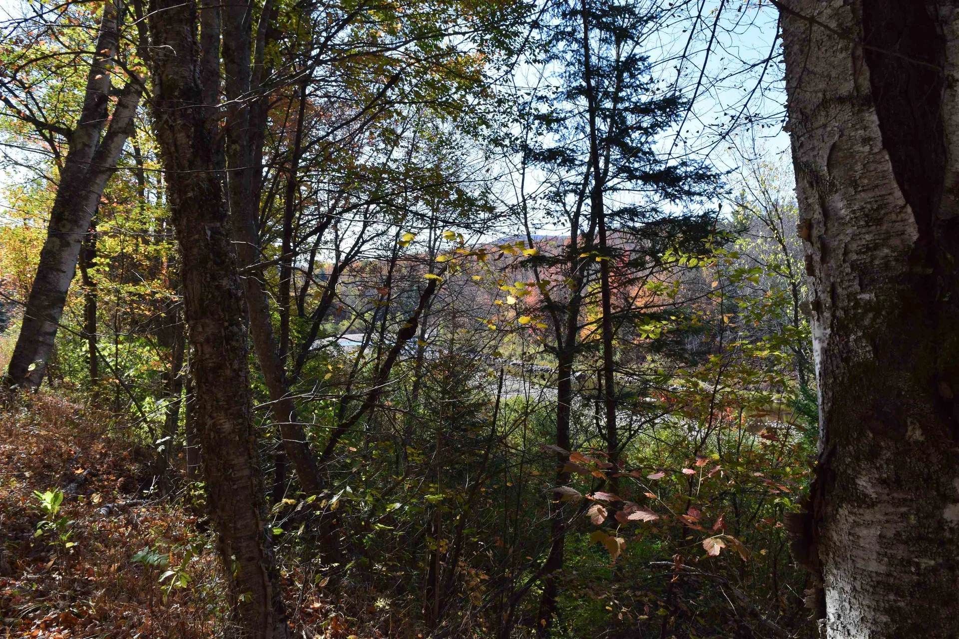 154 Moose Trail Road Bethlehem NH 03574