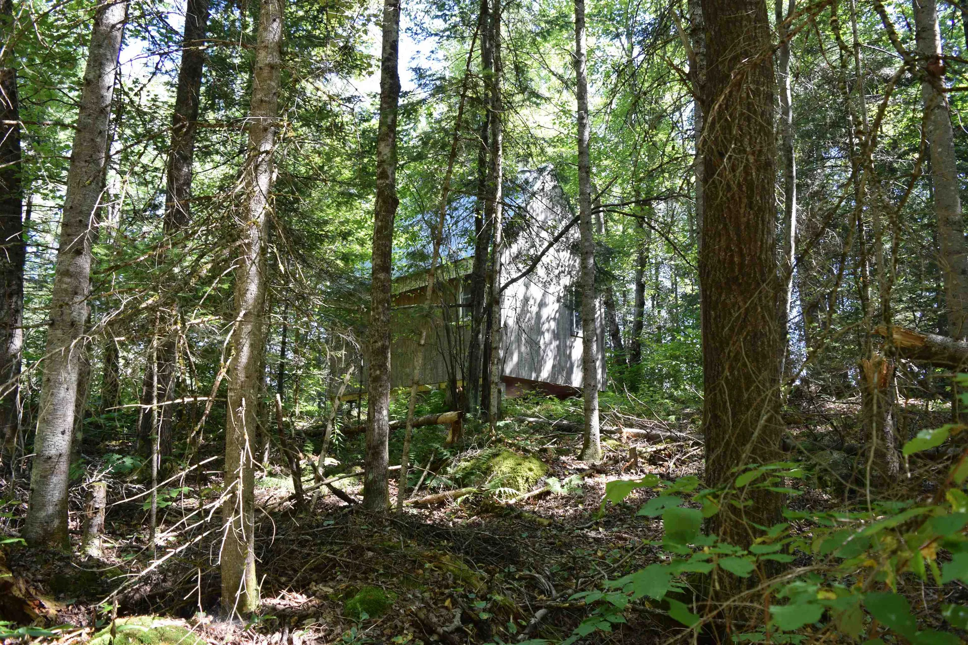 154 Moose Trail Road Bethlehem NH 03574