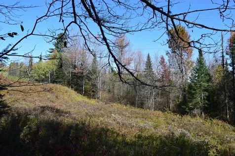 154 Moose Trail Road Bethlehem NH 03574