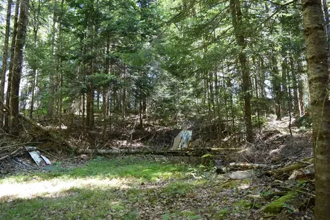 154 Moose Trail Road Bethlehem NH 03574