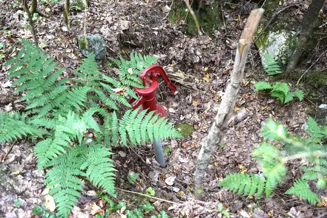 154 Moose Trail Road Bethlehem NH 03574