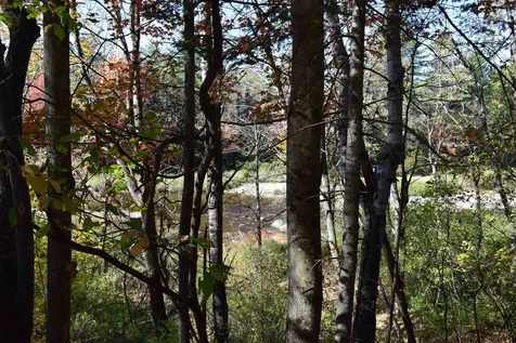 154 Moose Trail Road Bethlehem NH 03574