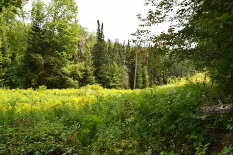 154 Moose Trail Road Bethlehem NH 03574