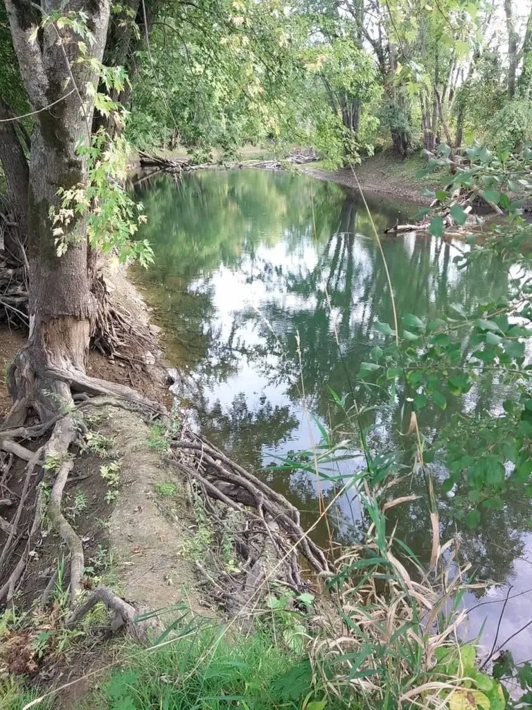 900 Pearl Street Brandon VT 05733