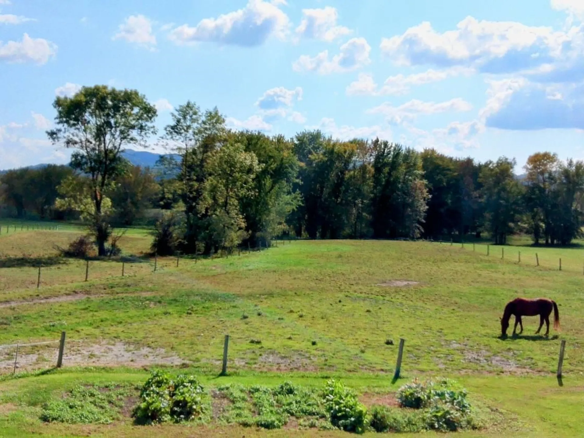 900 Pearl Street Brandon VT 05733