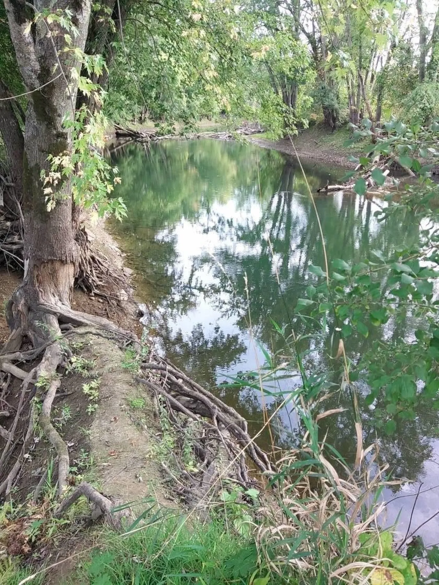 900 Pearl Street Brandon VT 05733