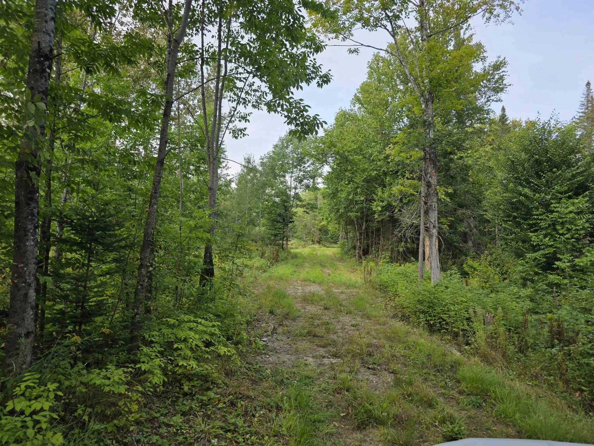 Diamond Pond Road Colebrook NH 03576