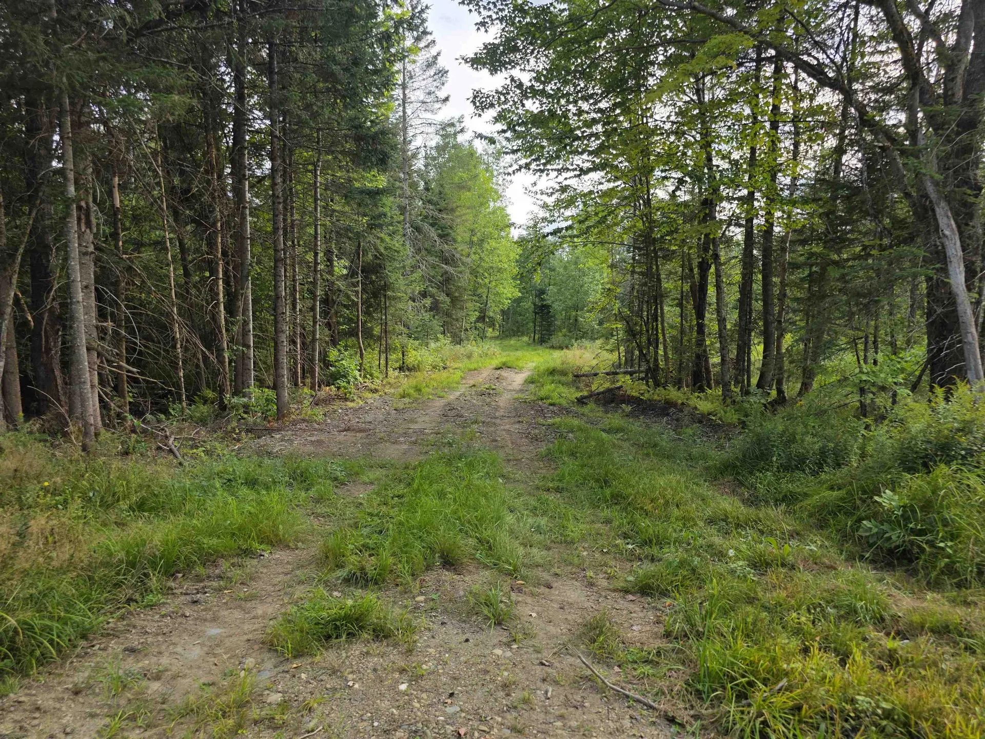 Diamond Pond Road Colebrook NH 03576