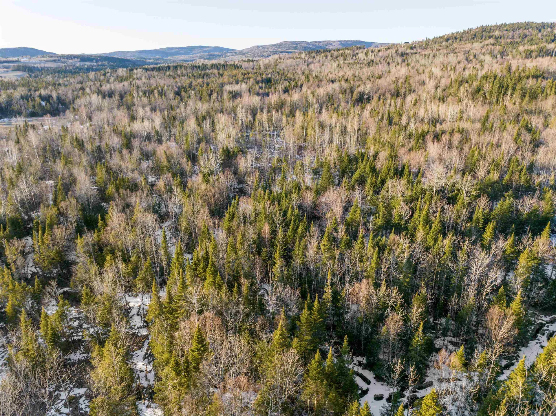 Diamond Pond Road Colebrook NH 03576