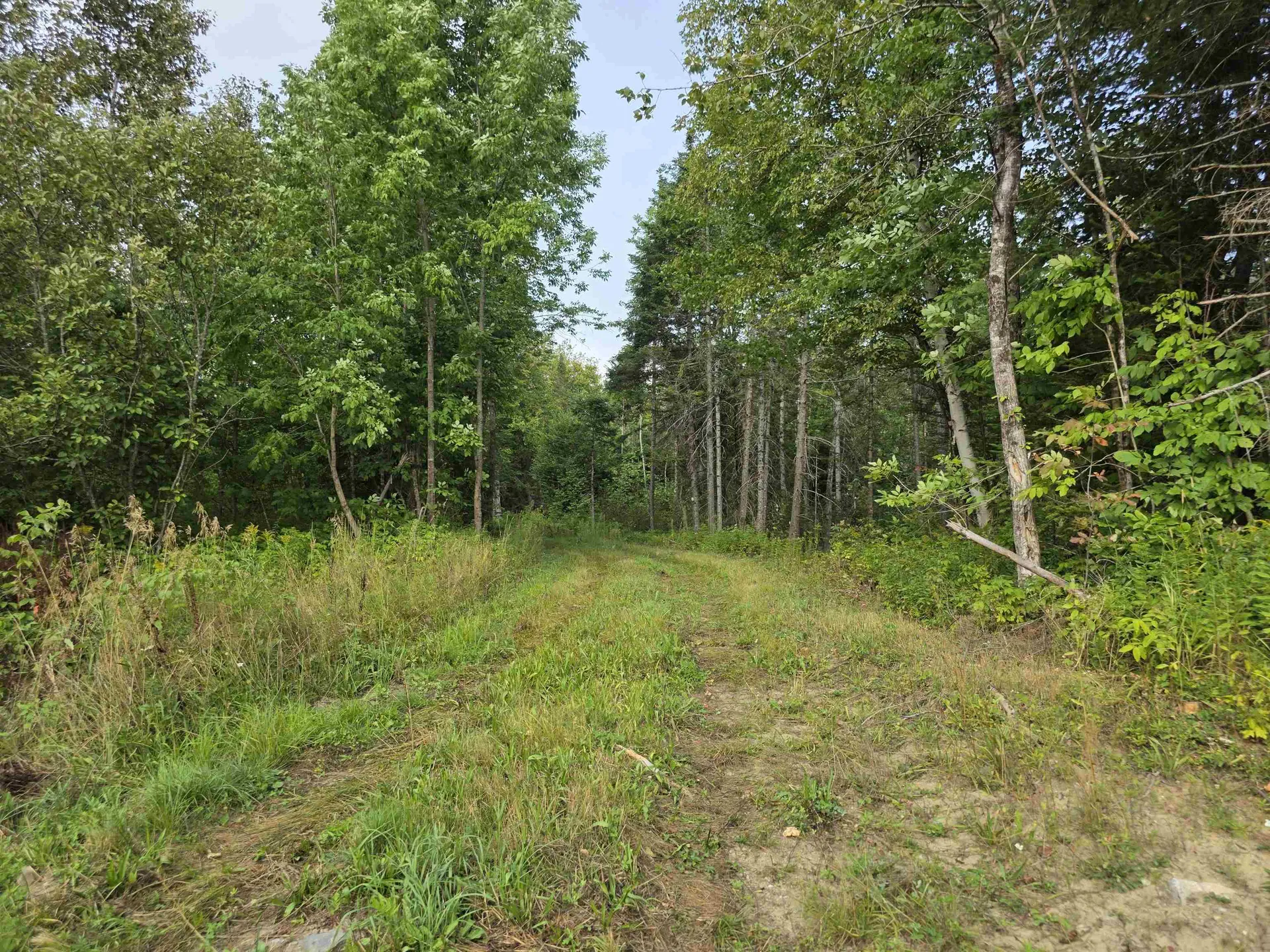 Diamond Pond Road Colebrook NH 03576