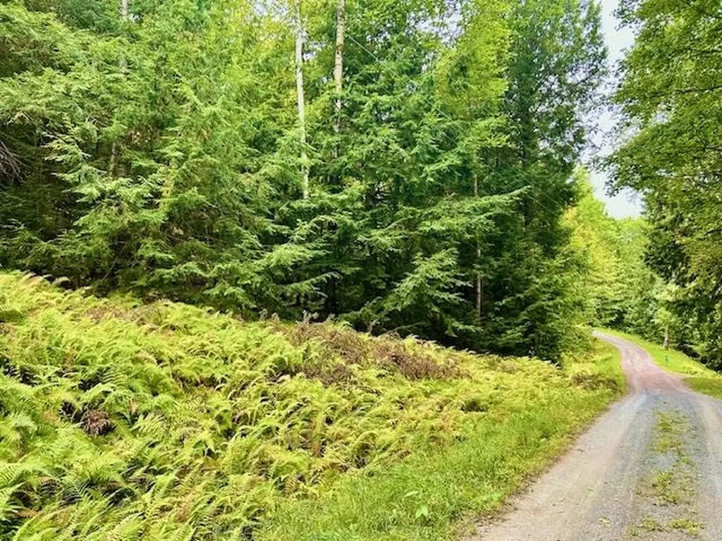 Longfellow Road Haverhill NH 03785