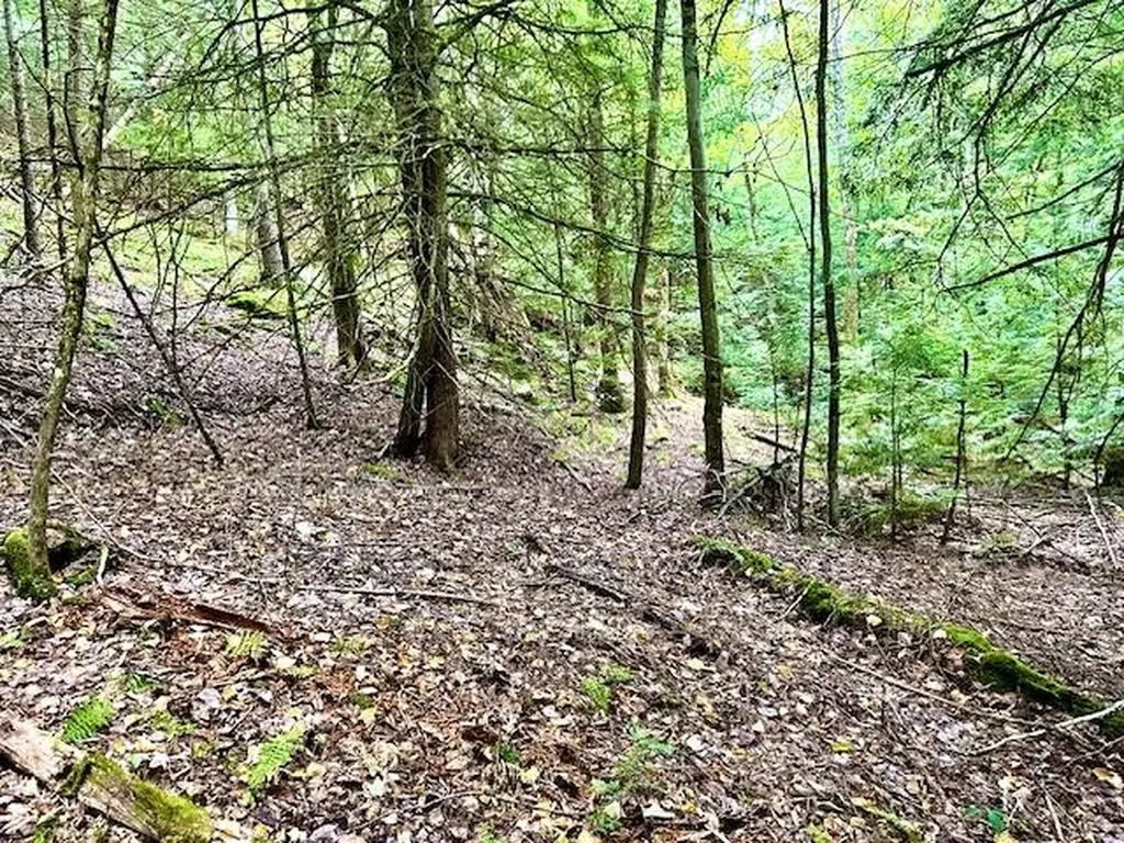 Longfellow Road Haverhill NH 03785