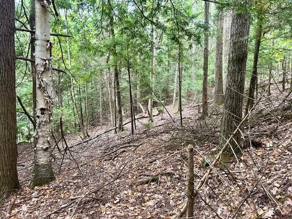 Longfellow Road Haverhill NH 03785