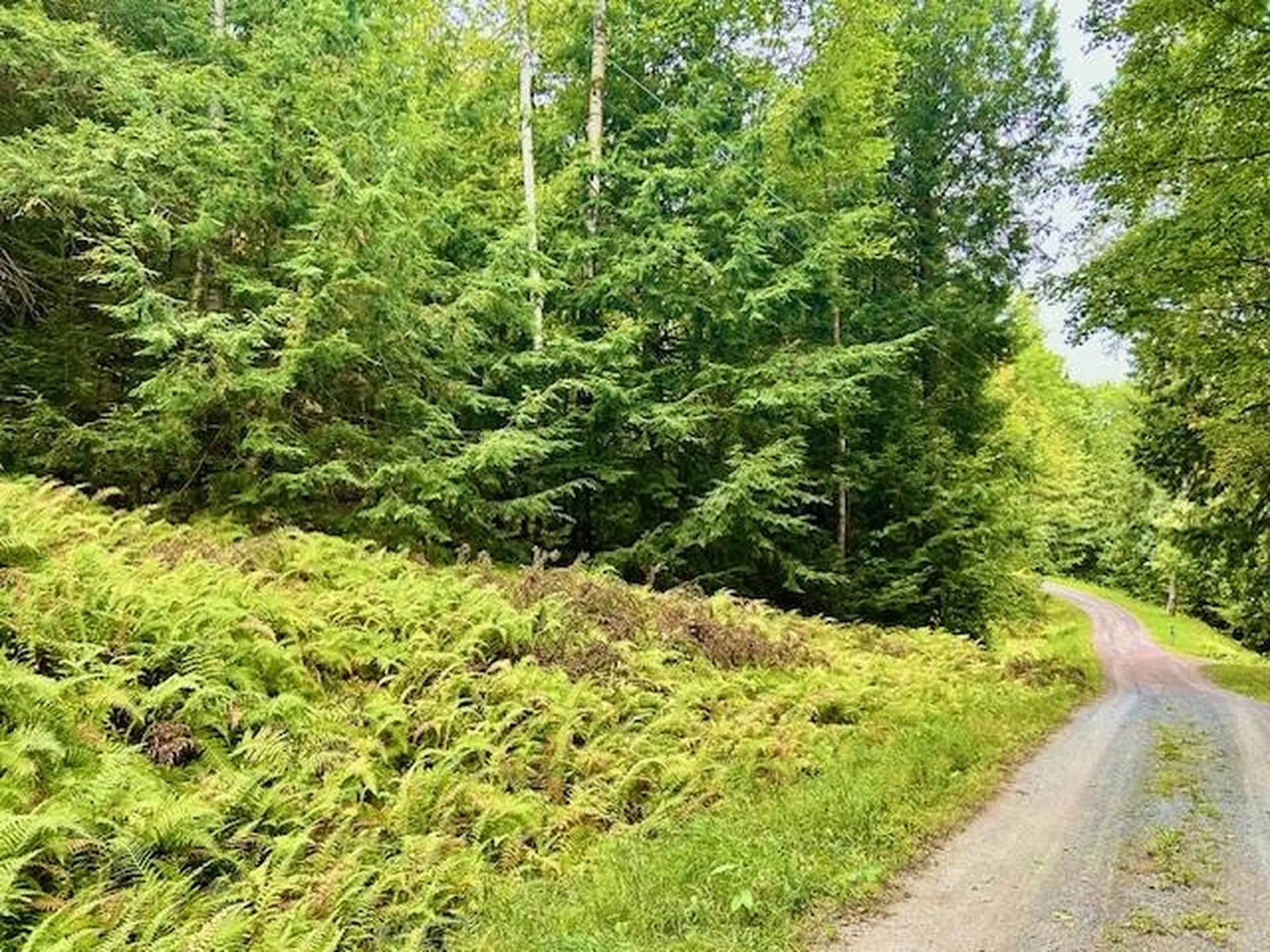 Longfellow Road Haverhill NH 03785