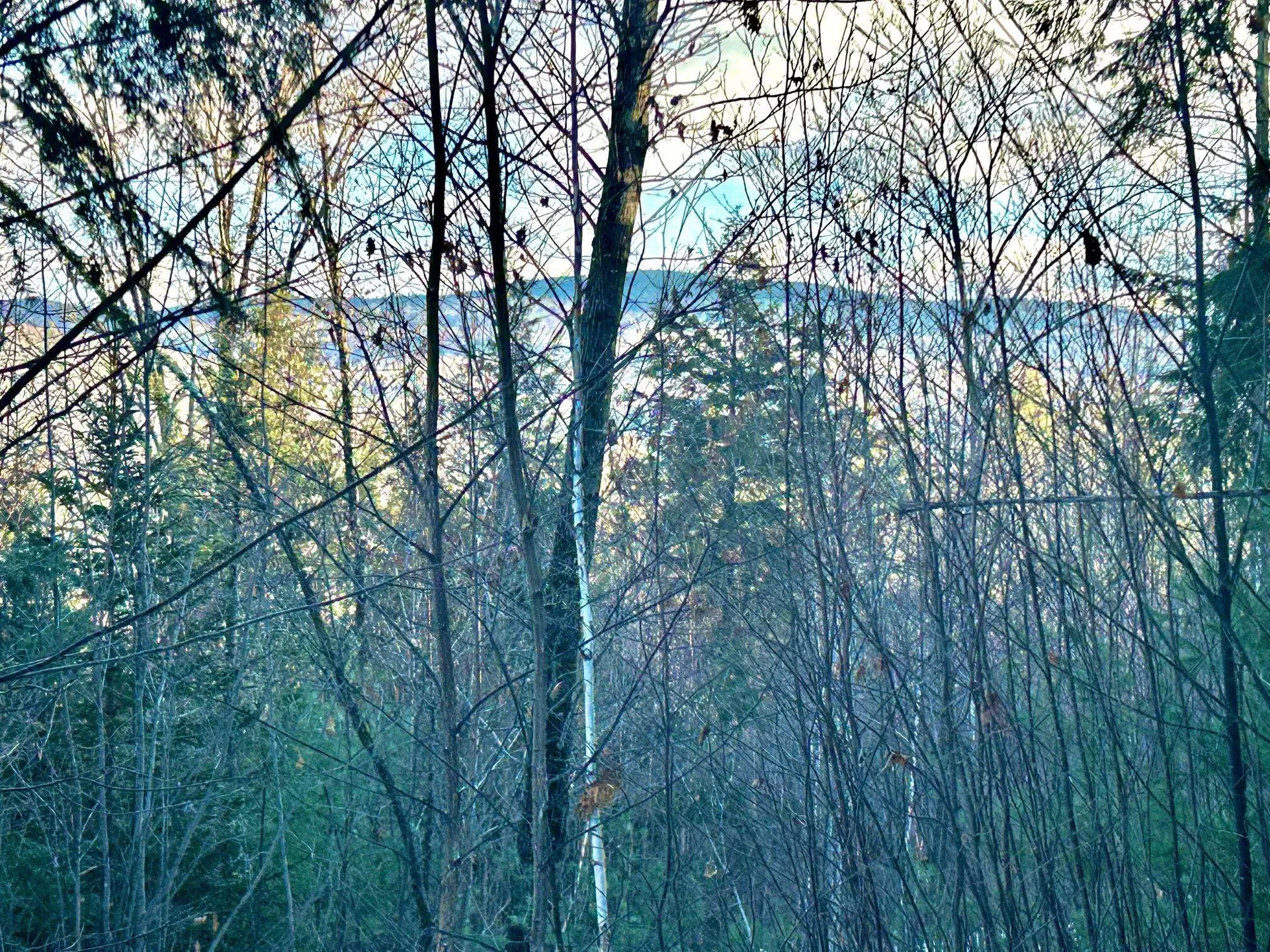 Longfellow Road Haverhill NH 03785