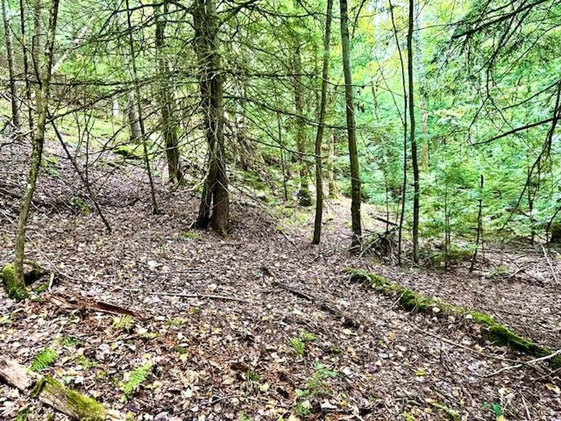 Longfellow Road Haverhill NH 03785