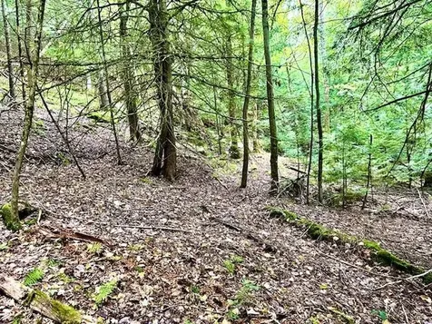 Longfellow Road Haverhill NH 03785