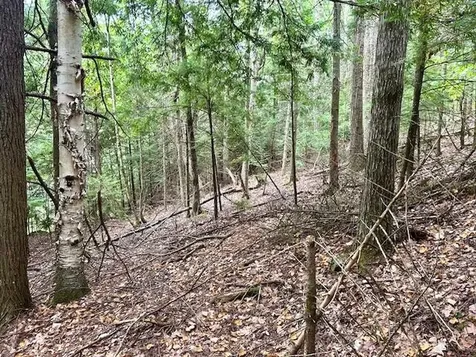 Longfellow Road Haverhill NH 03785