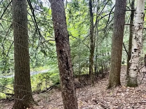 Longfellow Road Haverhill NH 03785