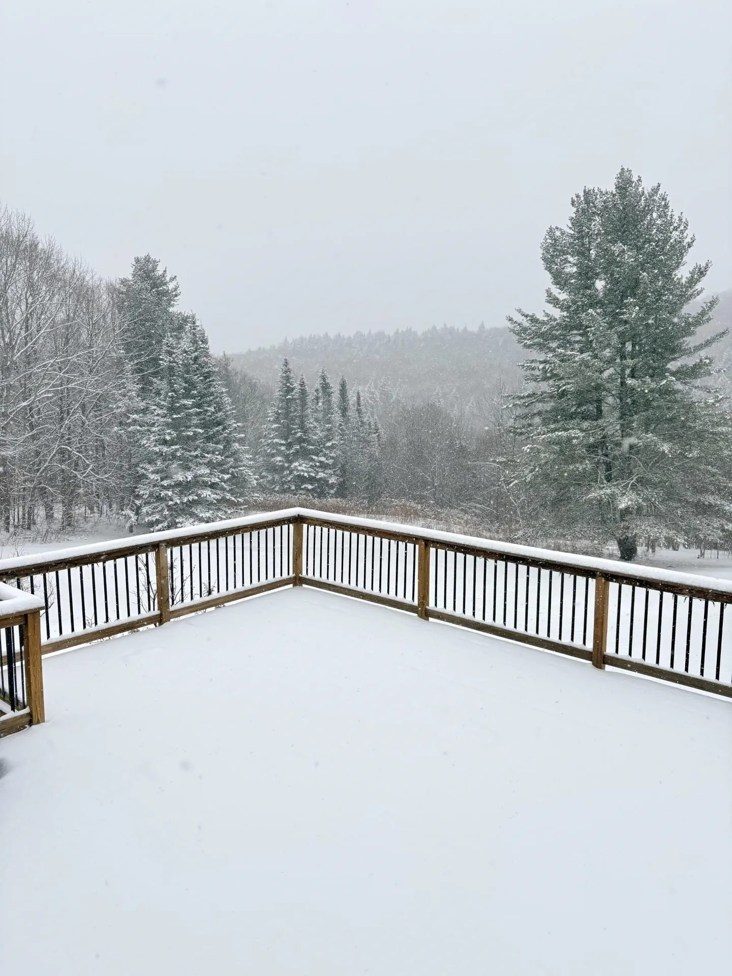 136 Yeaw Road Dover VT 05341