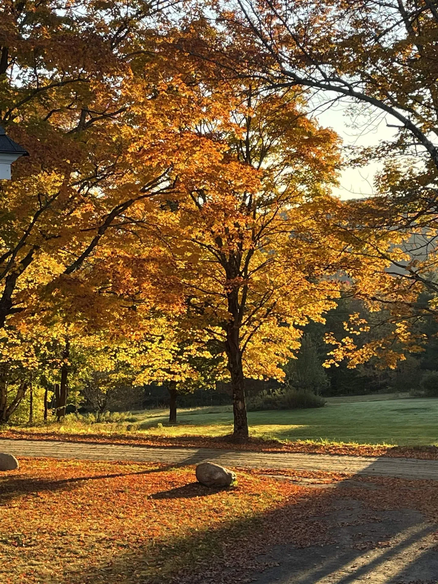 136 Yeaw Road Dover VT 05341