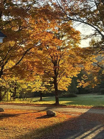 136 Yeaw Road Dover VT 05341