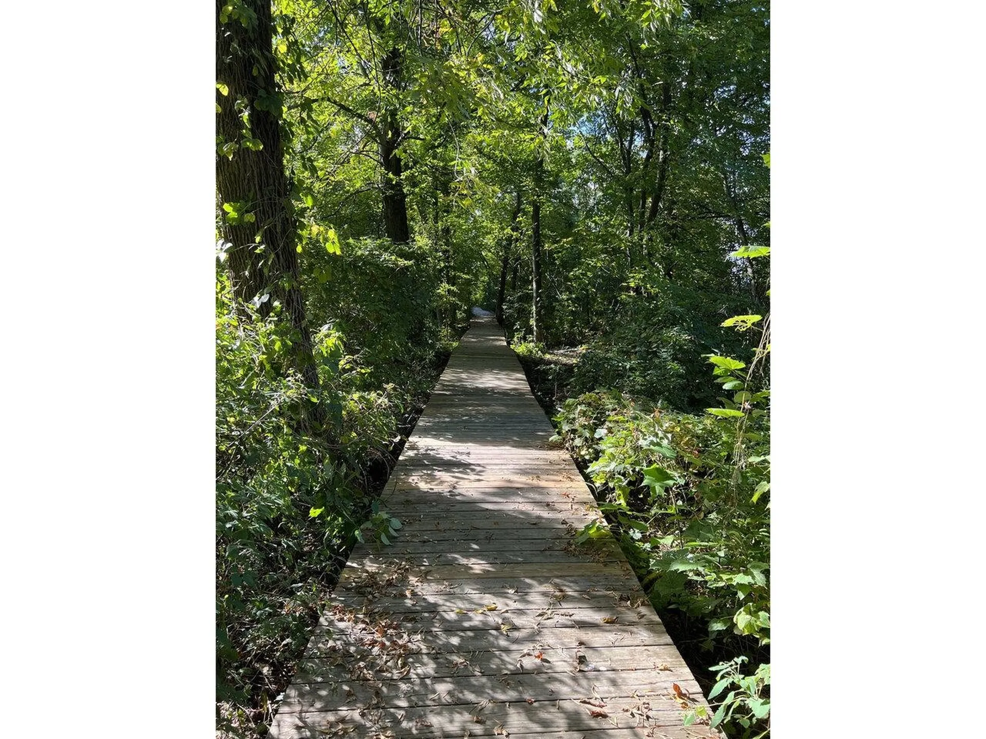 4 Eastman Farm Road Burlington VT 05408